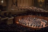 San Francisco Symphony © Brandon Patoc